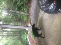 IMG_2182.jpg