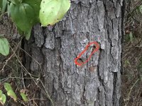 IMG_2305.JPG