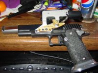 go gun 2.JPG