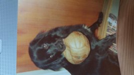 20170717_141848.jpg