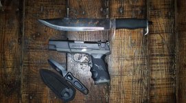 P85 Sting Sheffield Rogue.jpg