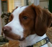 IMG_0066.jpg