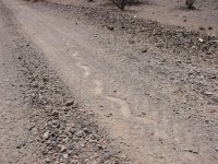 Sidewinder 1.jpg