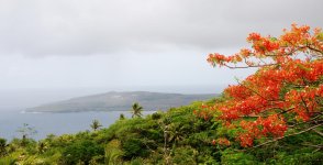 _DSC4544S_resize.jpg