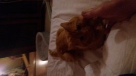 20170723_015536.jpg
