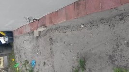 20170423_110827.jpg