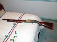 model12left.jpg