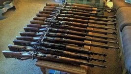 Mausers II.jpg