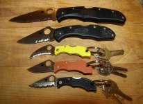 Daily Spyders rs.jpg