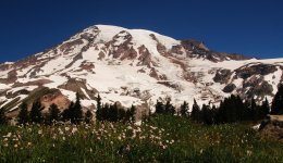 DSC_0020.jpg