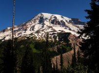 DSC_0254.jpg