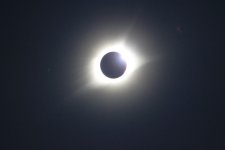 IMG_9587.jpg