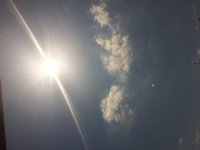 IMG_2890.jpg