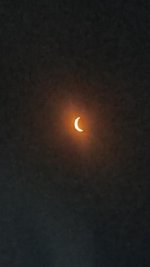 IMG_2891.jpg