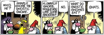 gnarly gnorb.jpg