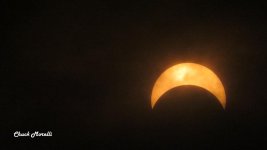 IMG_2534.jpg