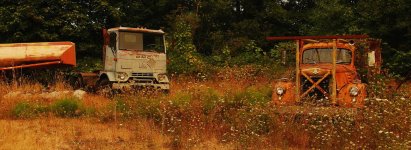 DSC_0032.jpg