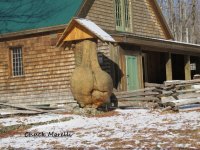 IMG_0510_1.jpg