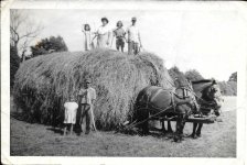 Ghering farm 01.jpg