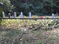 IMG_0782.jpg