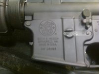 IMAG0155.jpg