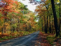 Blue Knob Rd-10-14-17.jpg
