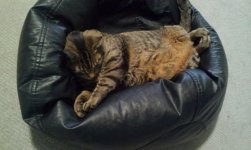2015-04-26 12.55.28.jpg