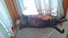 2016-06-09 17.45.37.jpg