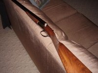 Ruger Gold Label SxS relaxing.jpg