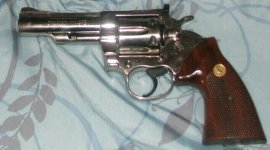 photo11 0011 guns.jpg