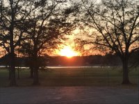 IMG_0915.jpg