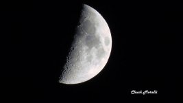 IMG_2619 (2).jpg