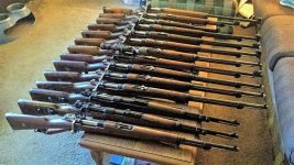 Mausers II.jpg