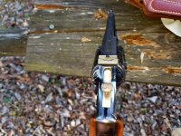 rear sight.jpg