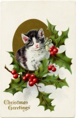 ChristmasKitten.jpg