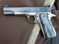 Left Side Colt2.jpg