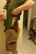 m29 concealed 3.jpg
