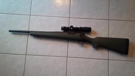 Custom700LH308_zps3682f565.jpg