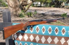 Winchester Model 490.jpg