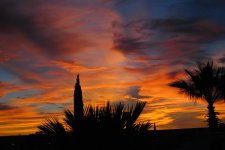 DSC_0089.jpg
