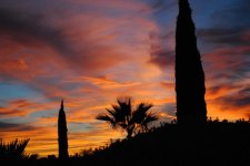 DSC_0088.jpg