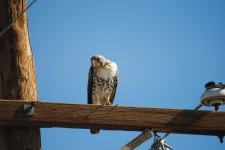 DSC_0105.jpg