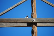 DSC_0107.jpg