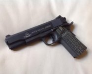 RIA 1911.jpg