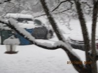 IMG_0004.JPG