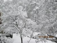 IMG_0009.JPG