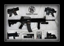 MikesGun-W800.jpg