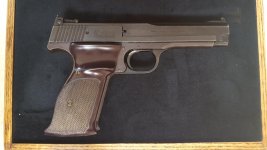 sw46-2.jpg
