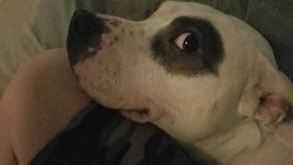 20170222_202510.jpg