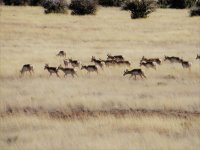 IMG_2532.jpg